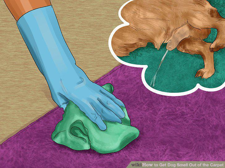 Step 5