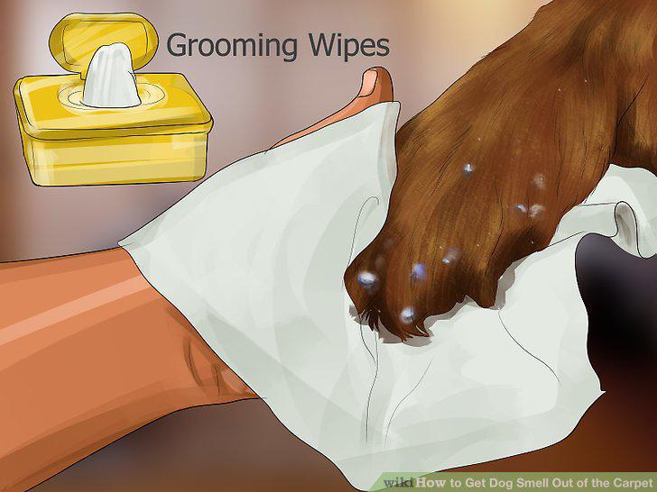 Step 10