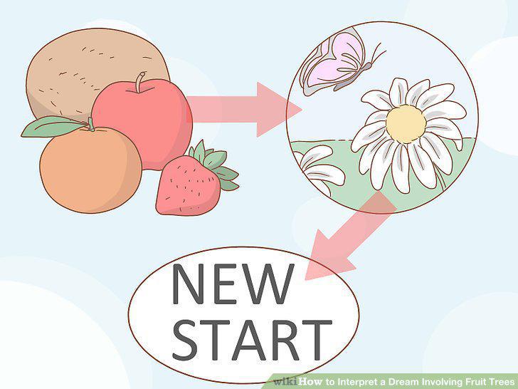 Step 10