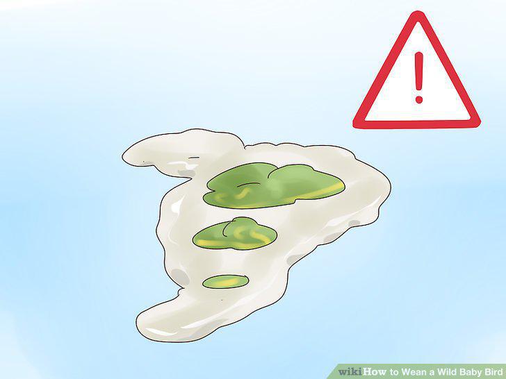 Step 11