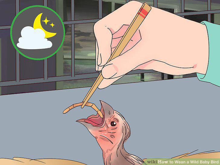 Step 14