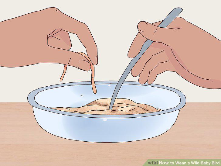 Step 3