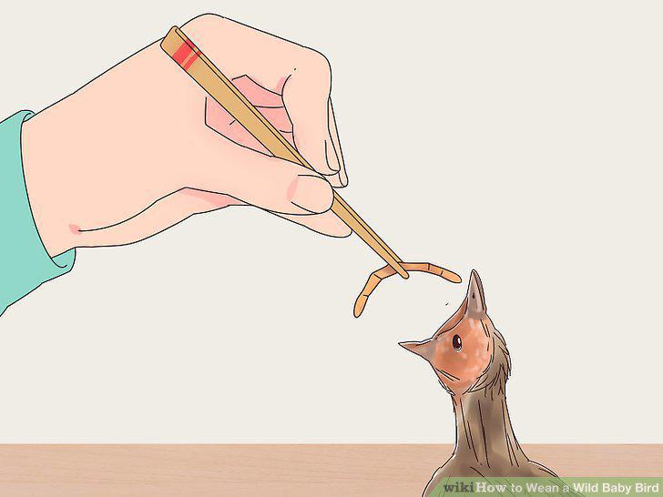 Step 5