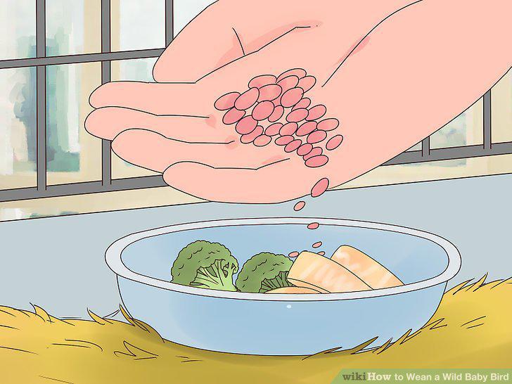 Step 9