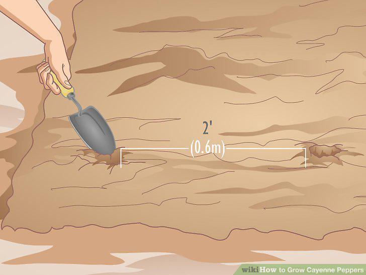 Step 4