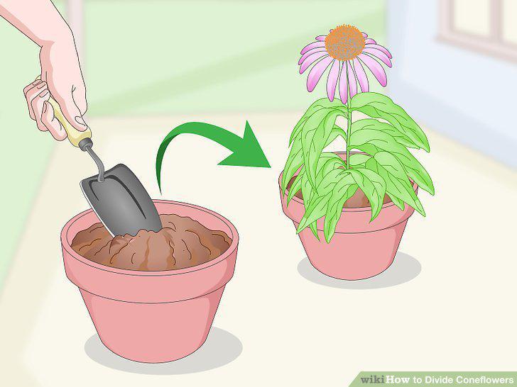 Step 13