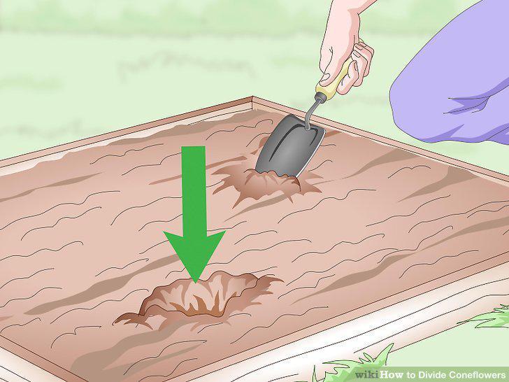 Step 14