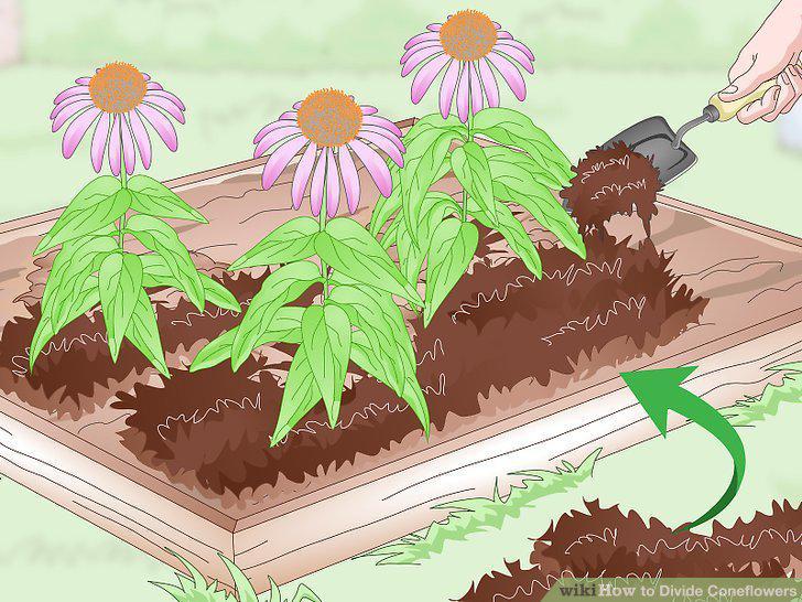 Step 16