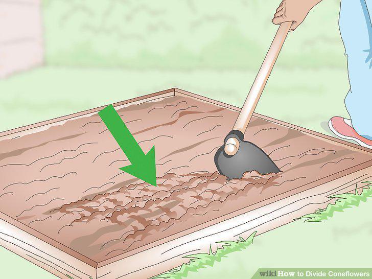 Step 3