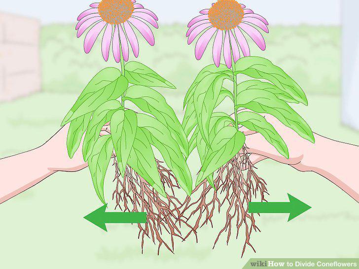 Step 9