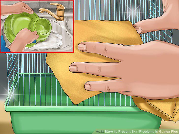Step 3
