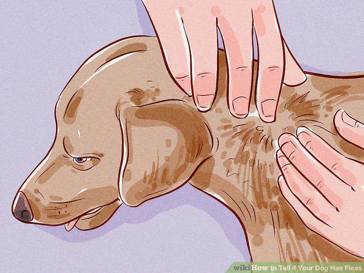 Step 2