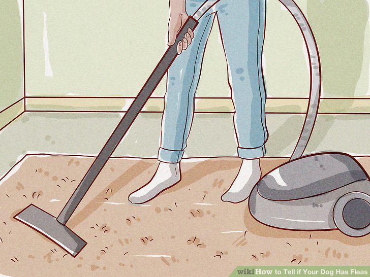 Step 12
