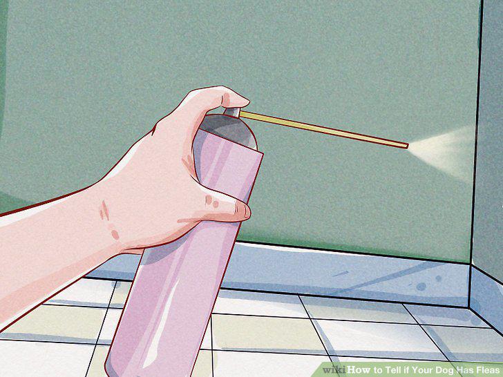 Step 13