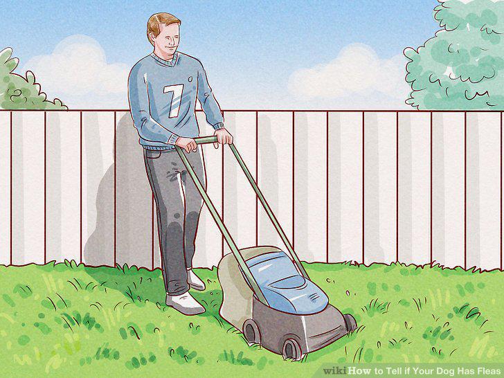 Step 14