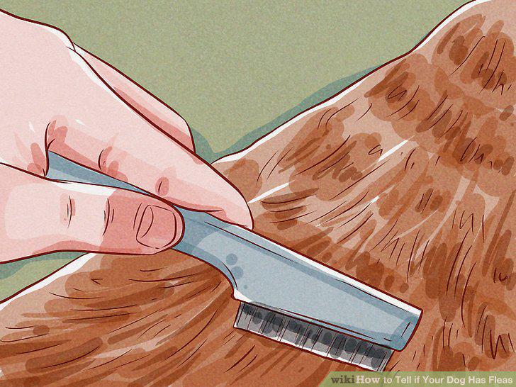 Step 5