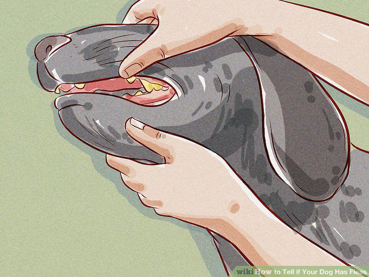 Step 6