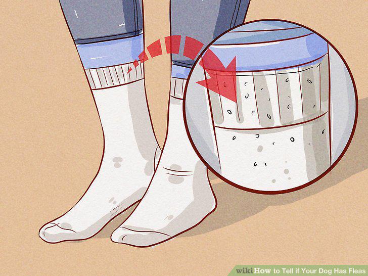 Step 8