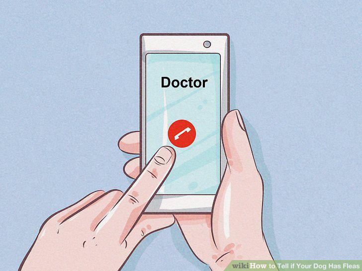 Step 10