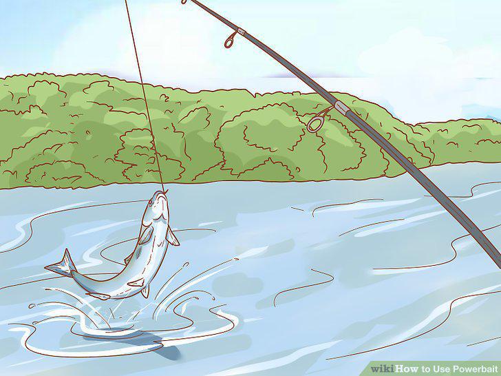 Step 13