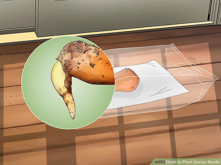 Step 11