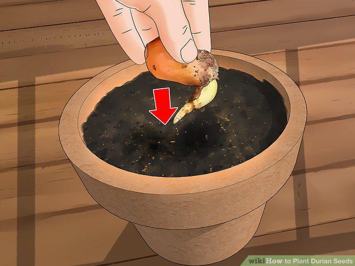 Step 12