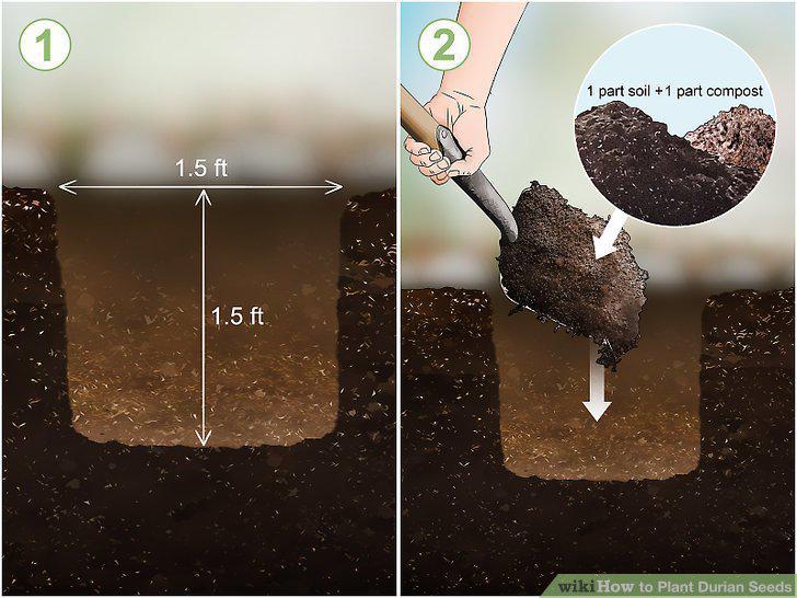Step 5