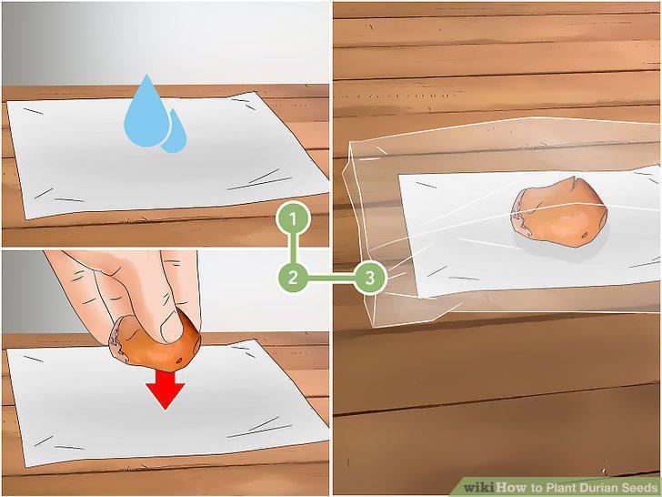 Step 9