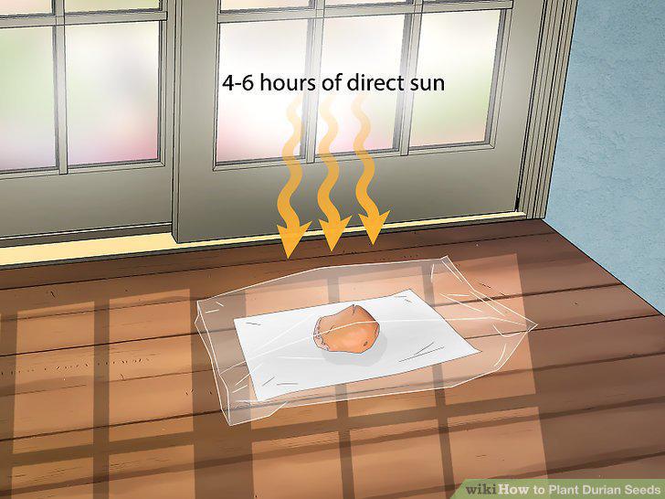 Step 10