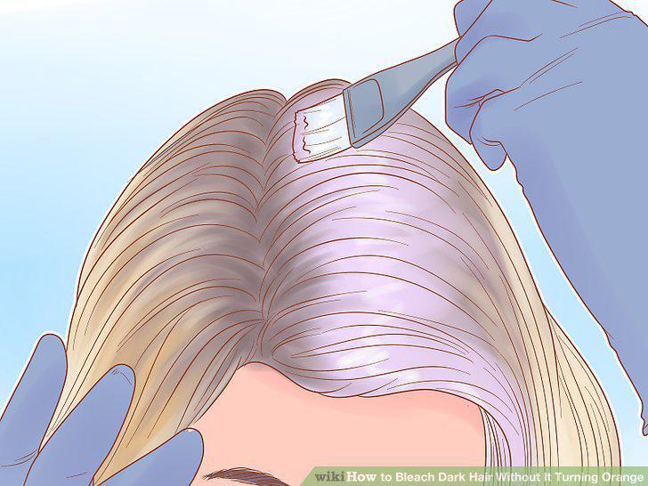 Step 17