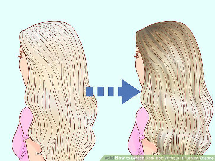Step 25