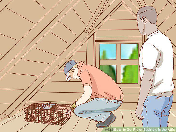 Step 11