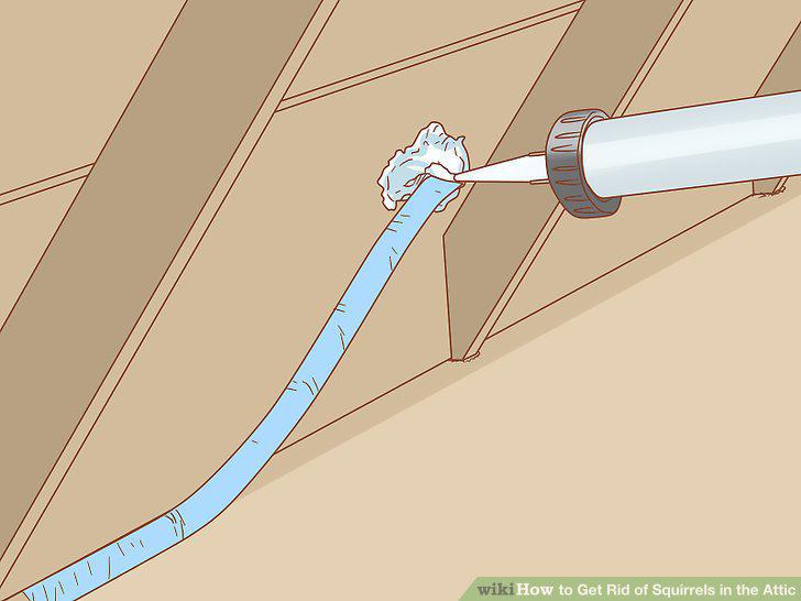 Step 15