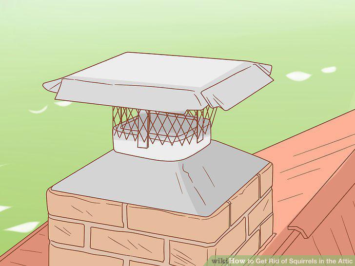 Step 16