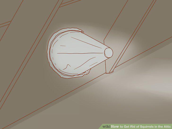 Step 17