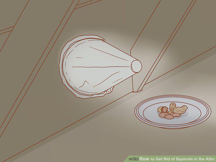 Step 18