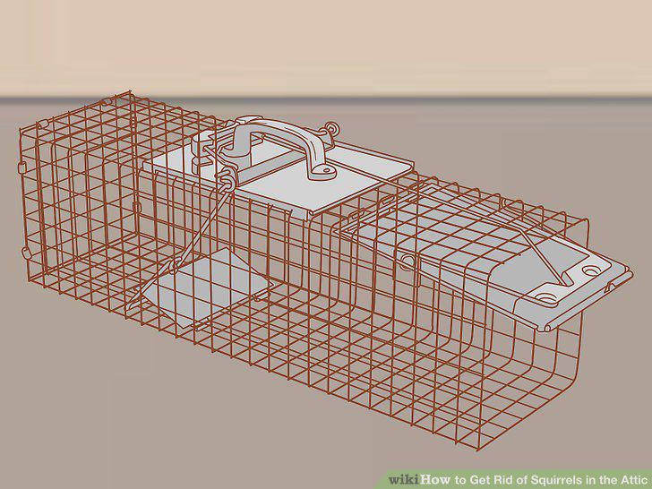 Step 6