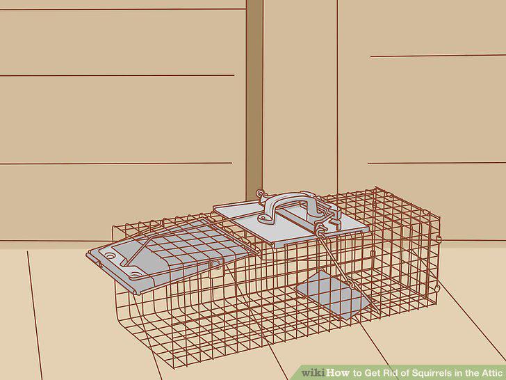 Step 10