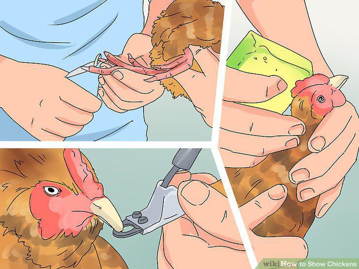 Step 13