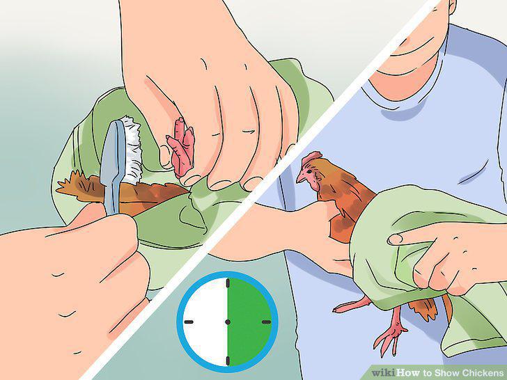 Step 14