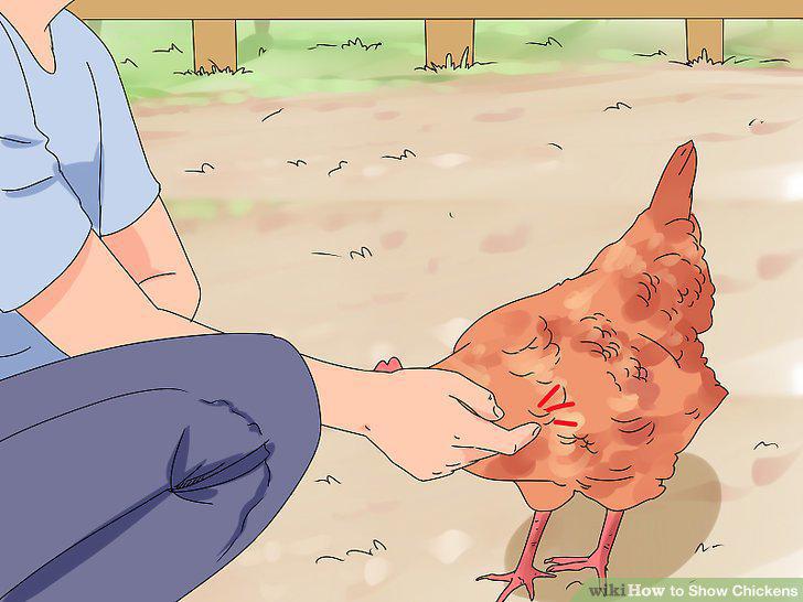 Step 8