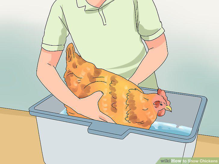 Step 9