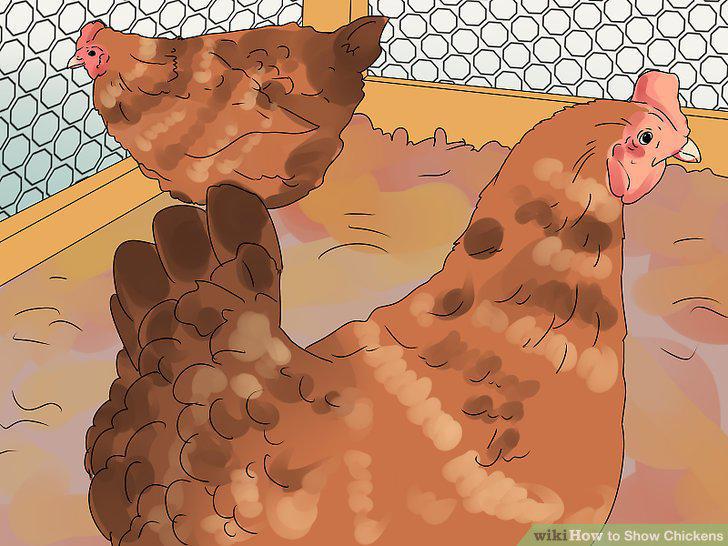 Step 10