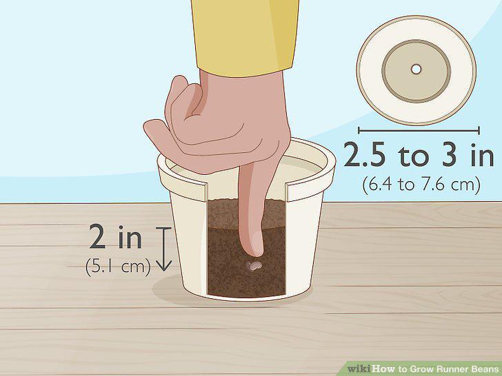 Step 2