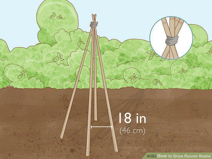 Step 11