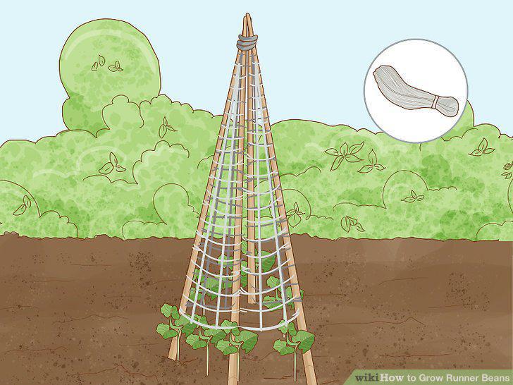 Step 13