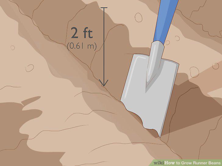 Step 7