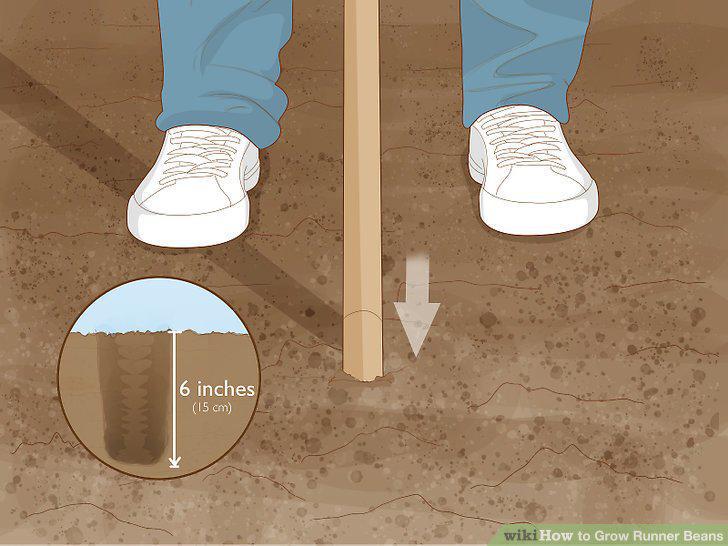 Step 10