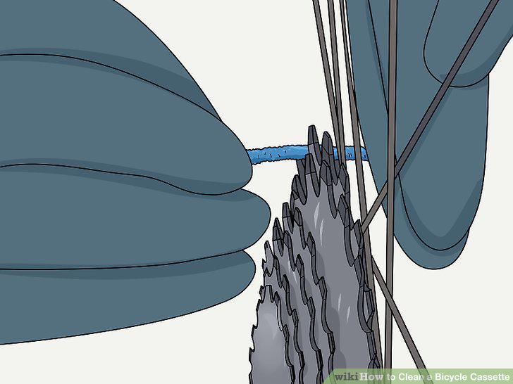 Step 12