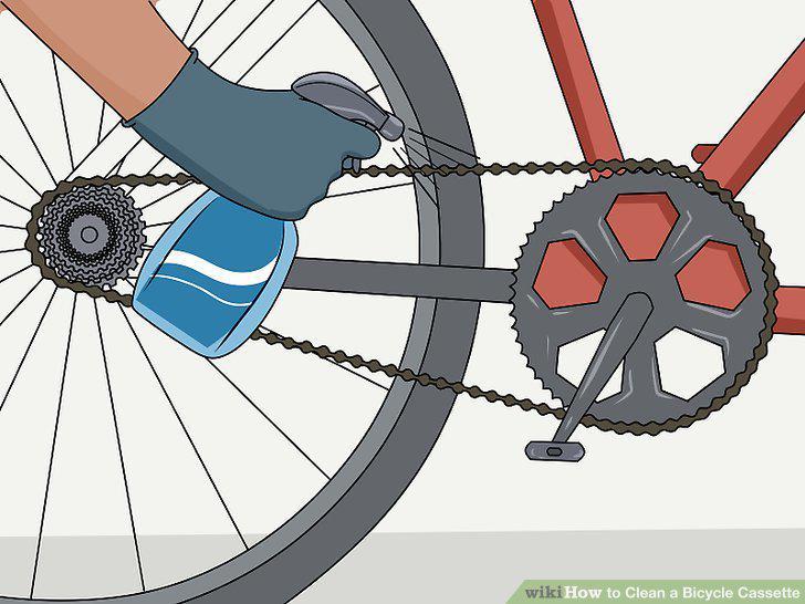 Step 15